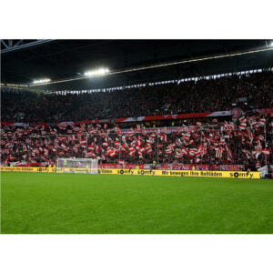 K&L Wall Art Vliestapete "XXL Vliestapete", Fortuna Düsseldorf Fußballfan, mehrfarbig, matt - bunt