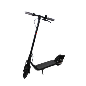 Ninebot by Segway F25E II Elektro-Roller Kickscooter E-Scooter faltbar