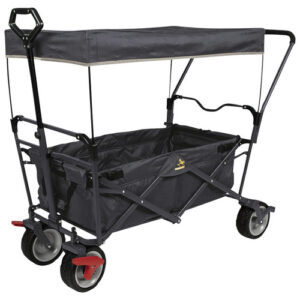 Pinolino Bollerwagen "Paddy", BxHxL: 59 x 67 x 134 cm, max. Belastung: 70 kg - grau