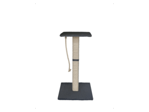 ROHRSCHNEIDER Kratzstamm Juno (77, Grau)