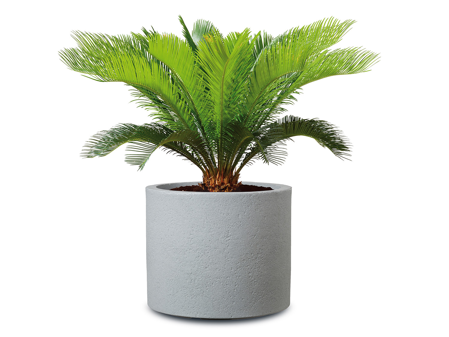 Scheurich Pflanzgefäß Riva (Stony Grey, Ø 50 cm)