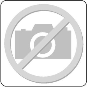 Standcontainer Teda H720-760xB428xT800mm, lichtgrau m.4 Schubl.m.Streifengriff