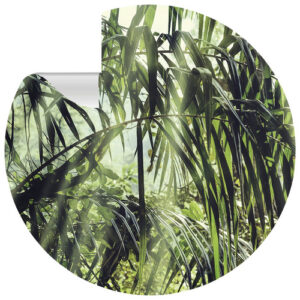 mySPOTTI Vliestapete "Jones", Blattmuster, grün/weiß, matt - gruen